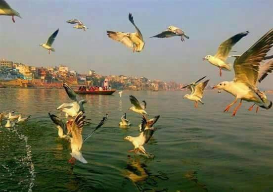 Shiva Ganges View Guest House Varanasi Dış mekan fotoğraf
